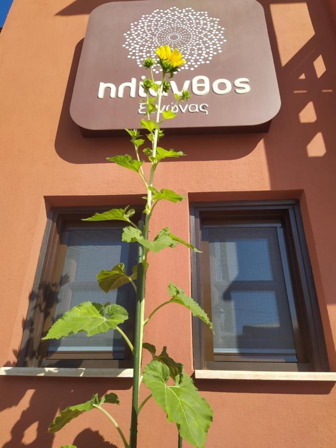 Helianthus Guesthouse Амоляни Екстериор снимка