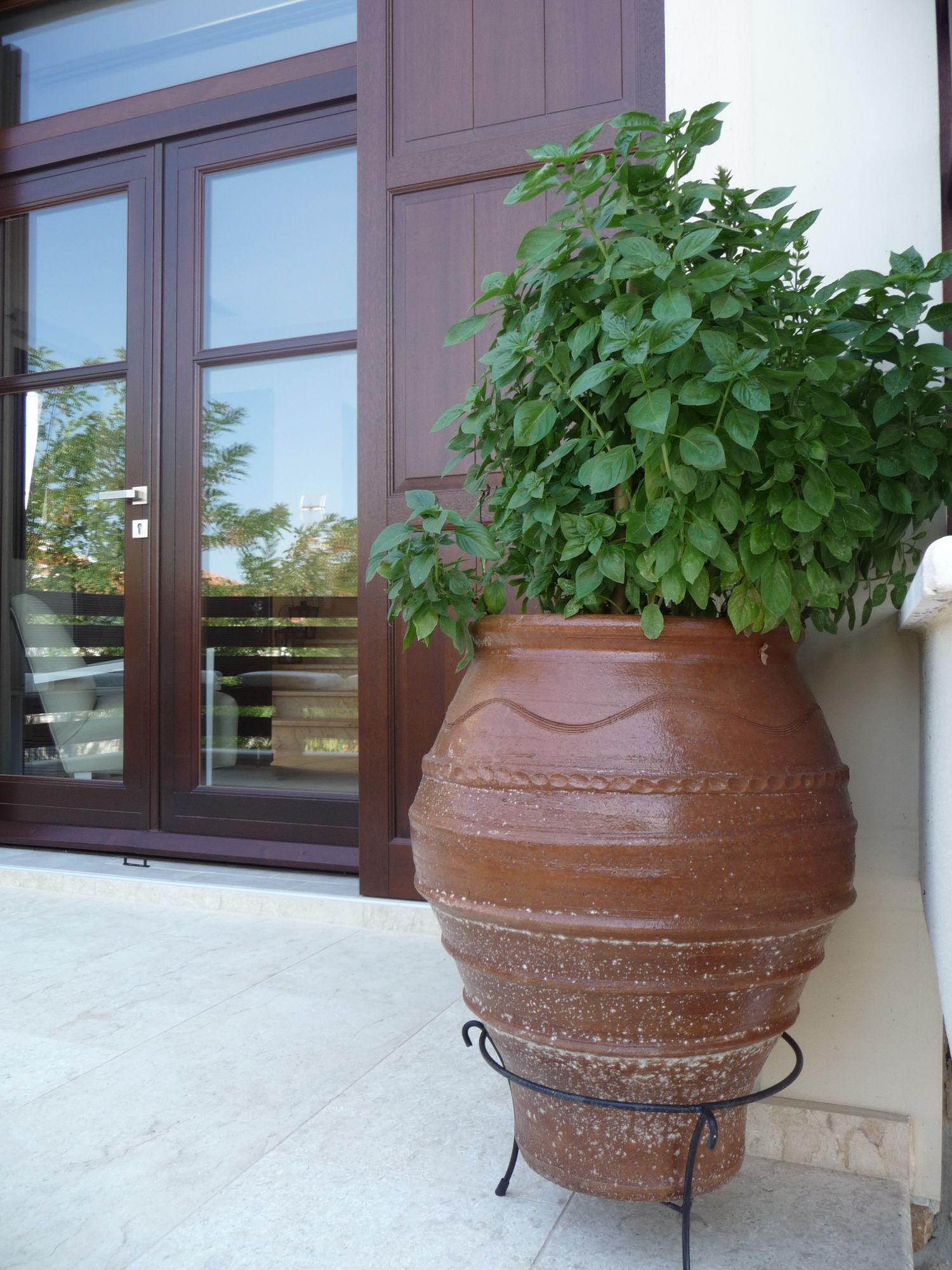 Helianthus Guesthouse Амоляни Екстериор снимка