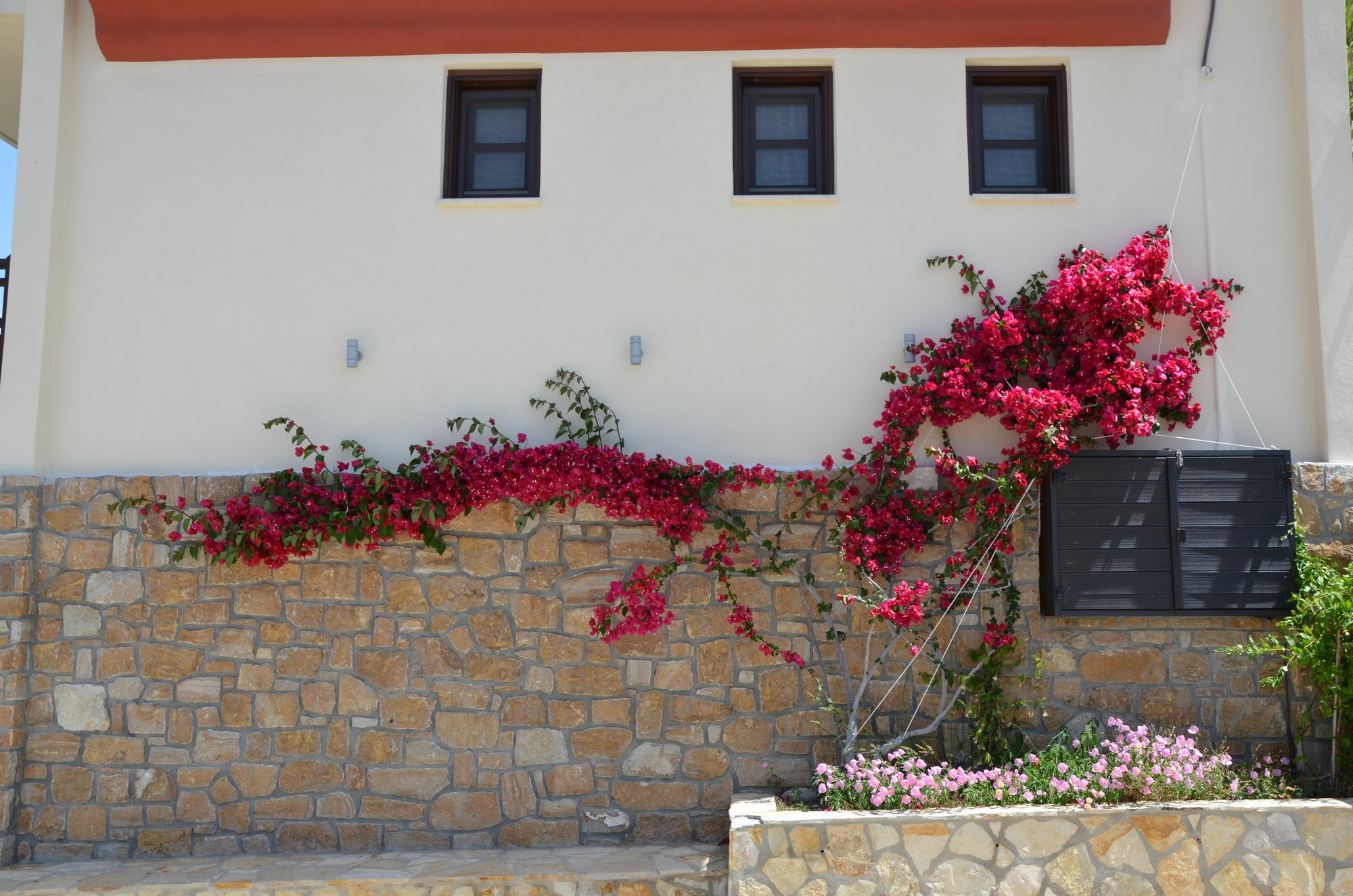 Helianthus Guesthouse Амоляни Екстериор снимка